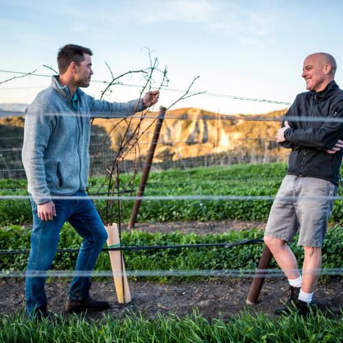 Greg Brewer in a vineyard
