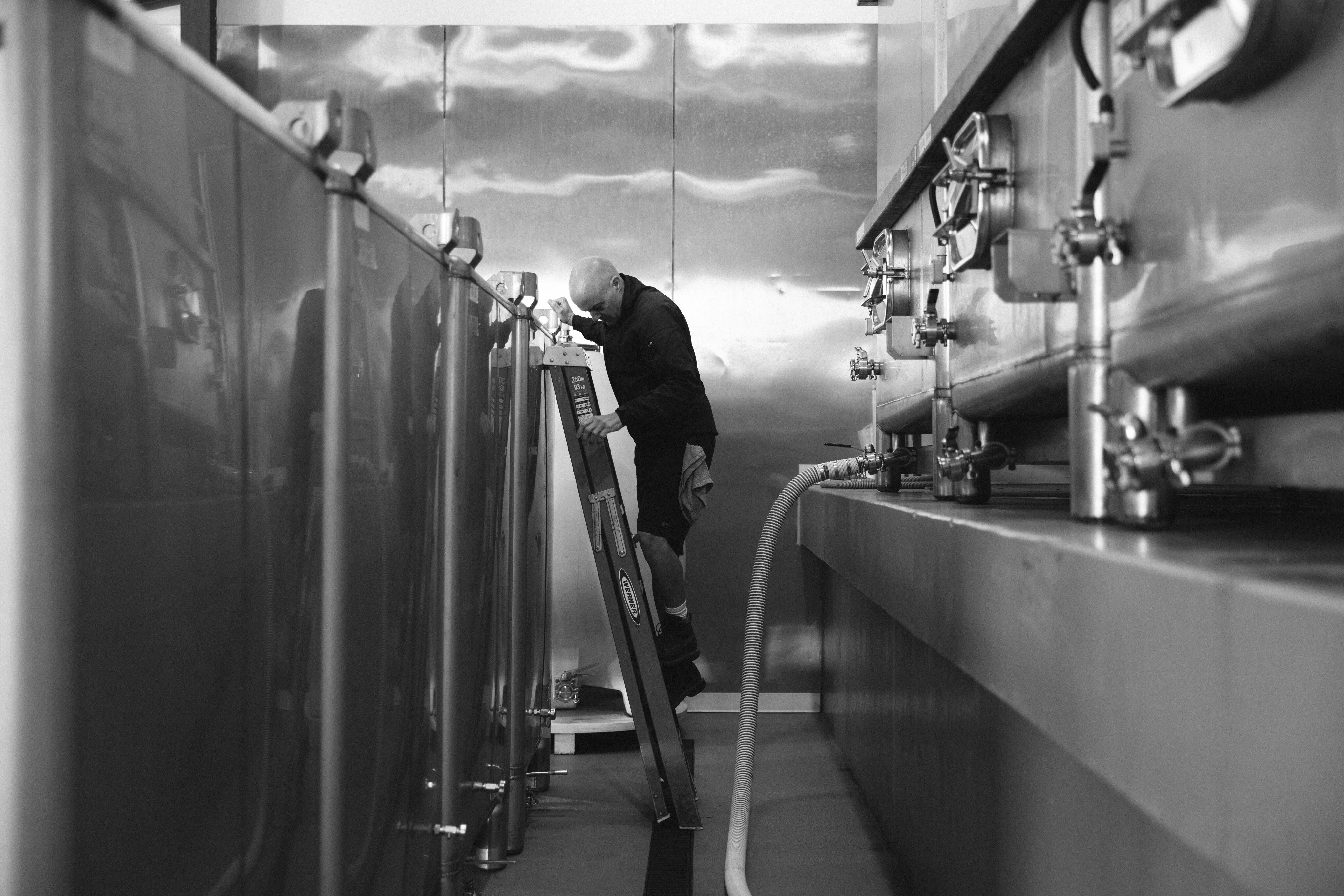 Greg Brewer in the winery on a ladder