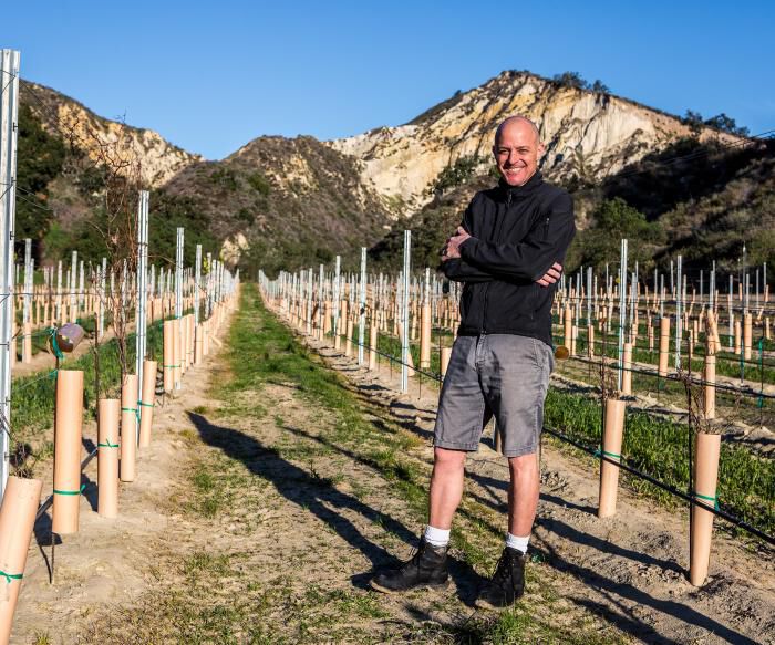 Greg Brewer in a vineyard