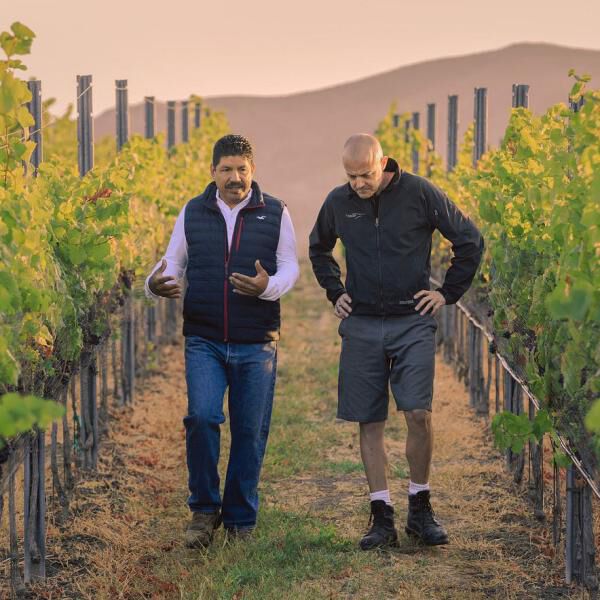 Greg Brewer walking in a vineyard