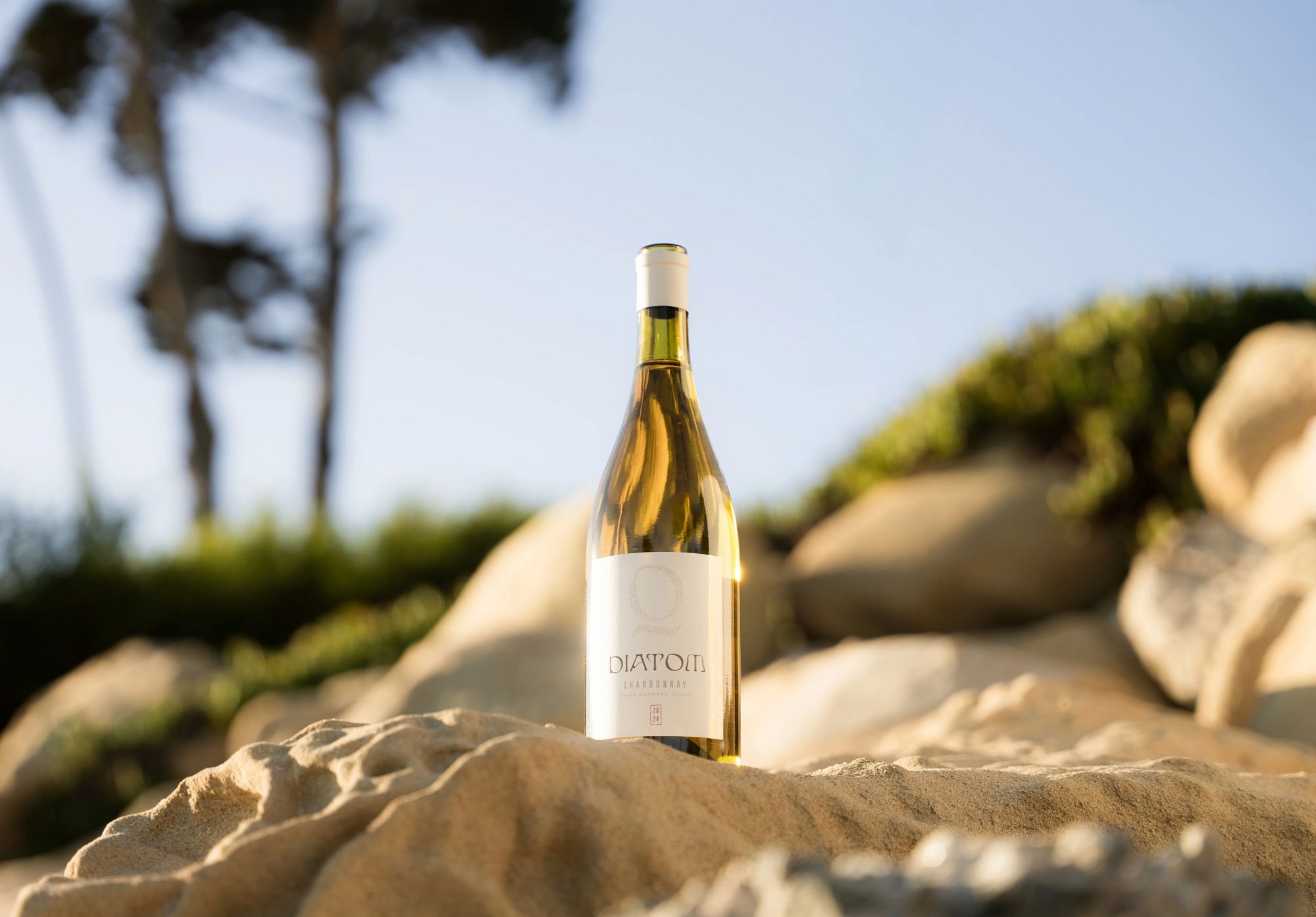 Diatom Chardonnay on top of rocks